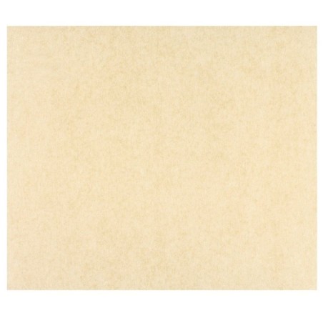 Formatos Fast-food (antigrasa) 28x31 Kraft
