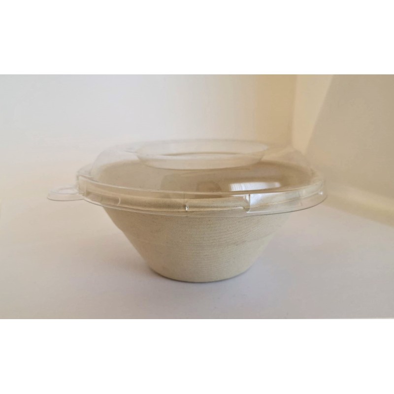 Bol ensalada de caña de azúcar + tapa