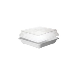 Envase cuadrado WORLDVIEW Caña Azúcar 36 oz + Tapa PLA