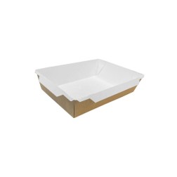 ENVASE RECTANGULAR EFECTO KRAFT (FUZIONE)