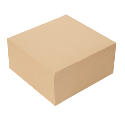 Caja pastel. s/ventana THEPACK