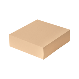 Caja pastelería sin ventana THEPACK
