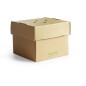 copie de copie de copie de Caja hot c/bisagra microflute 16x11cm MFB-6x5