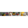 ENVASES DE PLASTICO